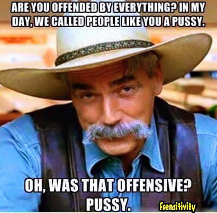 [Image: offended-youre-a-pussy.jpg]