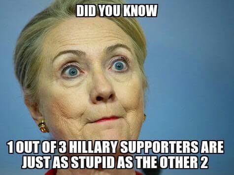 did-you-know-1-out-of-hillary-supported-are-just-as-stupid-as-the-other-2-funny-hillary-clinton-meme-image
